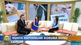 Kanal D ile Günaydın Türkiye - 04.10.2017