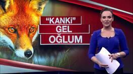 Buket Aydın'la Kanal D Haber - 07.05.2018